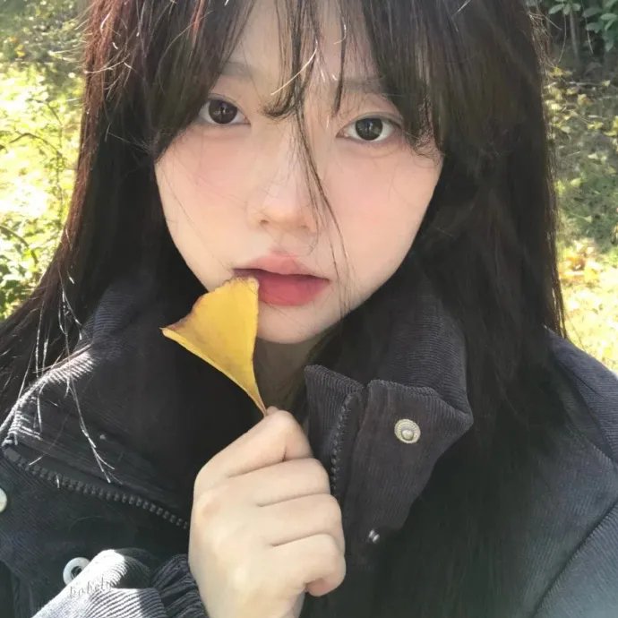 竞选伙伴