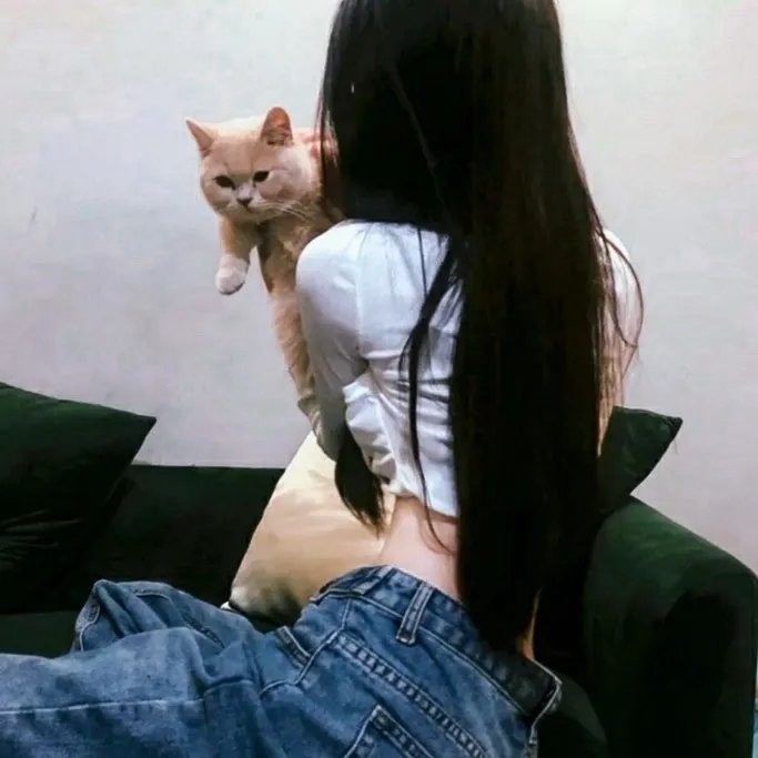 杰拉德历险记